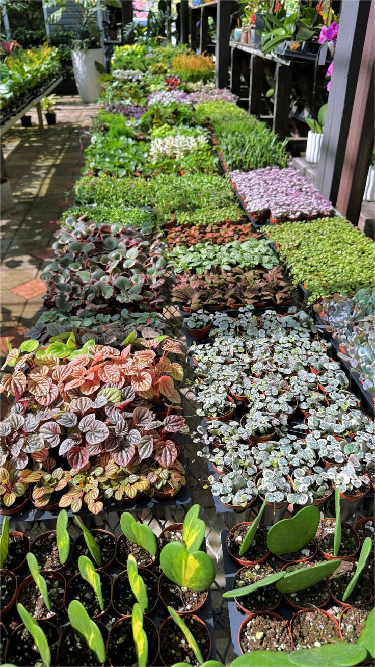 Garden products