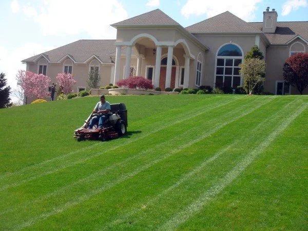 Professional landscaping services in Srinagar